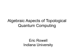 Algebraic Aspects of Topological Quantum Computing