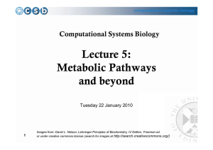Lecture 5: Metabolic Pathways and beyond