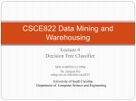 CSCE590/822 Data Mining Principles and Applications