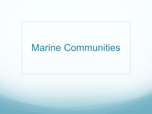 Marine Communities