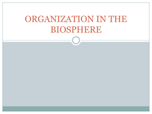 organization in the biosphere