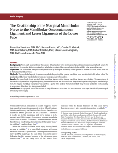 The Relationship of the Marginal Mandibular Nerve to the
