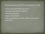 Translation and the Genetic Code