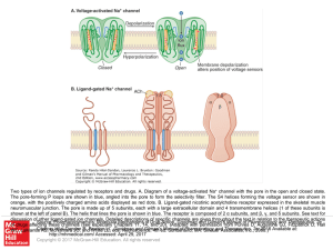 Slide 1 - AccessPharmacy