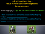 Unit 4 Evolution