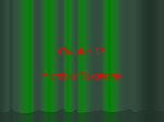 Chapter 17: Microbial taxonomy