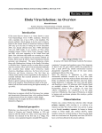 Ebola Virus Infection: An Overview