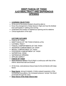 DEEP FASCIA OF THIGH ILIOTIBIALTRACT AND SAPHENOUS