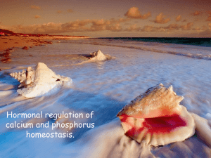 Hormonal regulation of calcium and phosphorus homeostasis