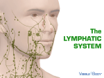 The LYMPHATIC SYSTEM