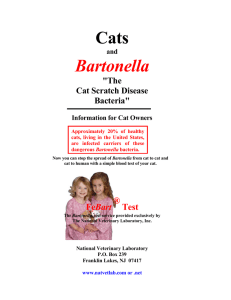 Cats Bartonella - National Veterinary Laboratory