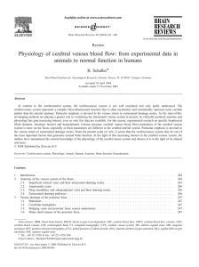 Physiology of cerebral venous blood flow: from experimental data in
