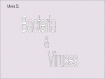 Diseases: Bacteria and Viruses