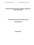 Draft Screening Assessment of Bacillus megaterium strain ATCC