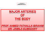 2-Copy of MAJOR ARTERIES OF BODY-PROF AHMED