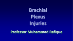 Brachial Plexus Inuries