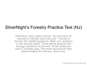 SilverNightForestryTest