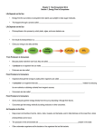 Ch5 Guided Notes