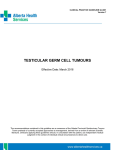 Testicular Germ Cell Tumours