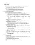 Ch. 33 Circulation Outline file