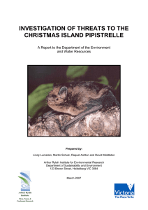 Investigation of threats to the Christmas Island Pipistrelle.
