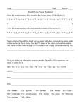 From DNA to Protein WS