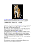 Examples of Gene flow File