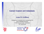 Cancer invasion and metastasis