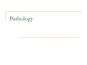 Pathology reports