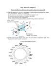 462a Reading and Homework Assignment 3