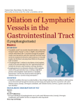 dilation_of_lymphatic_vessels_gastrointestinal_tract