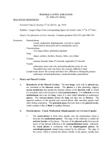 Pleural Cavity and Lungs - Dr. Sholley