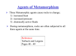 Agents of Metamorphism