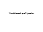 The Diversity of Species