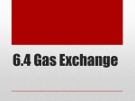 6.4 Gas Exchange - Phoenix Union High School District