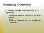 Innate Immunity PowerPoint
