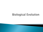 Mechanisms of Evolution PPT