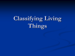 Classifying Living Things Classification