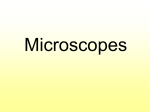 Microscopes PowerPoint