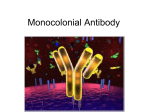 Monocolonial Antibody