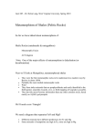 Metamorphism of Shales (Pelitic Rocks)