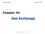 Gas Exchange - Biology Junction