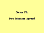 How_Swine_Flu_Spreads