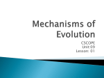 Mechanisms of Evolution: Natural Selection
