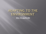 3.2 Adapting to environment