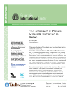The Economics of Pastoral Livestock Production in Sudan