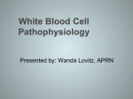 White Blood Cell Pathophysiology