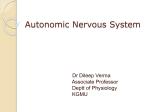 Autonomic Nervous System 5