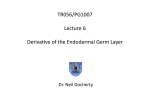 PG1007 Lecture 6 Derivatives of The Endodermal Germ Layer