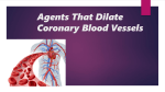 Agents That Dilate Coronary Blood Vessels